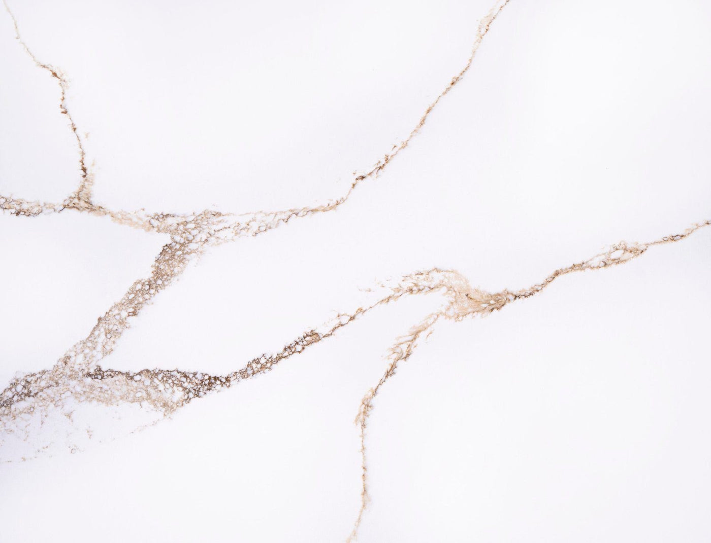 Serenity Gold Lucent Quartz slab
