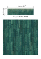 Atmosphere Northern Lights 2.4"x9.5" Glossy Porcelain Tile - image 6