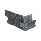Coal Canyon Ledger Panel - image 3