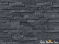 Coal Canyon Ledger Panel - image 1