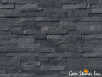 Coal Canyon Ledger Panel - image 1