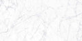 Eterna Carrara Gioia Polished Porcelain Tile - image 2