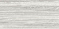 Eterna Strada Ash Polished Porcelain Tile - image 2