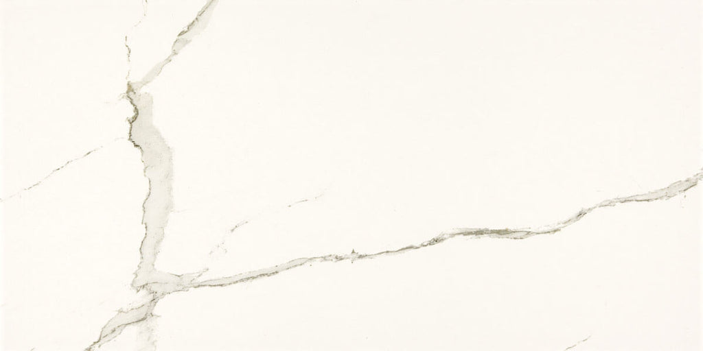 Everlast Albatros Porcelain Tile - image 5