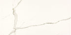 Everlast Albatros Porcelain Tile - image 5