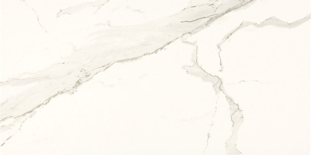 Everlast Albatros Porcelain Tile - image 4