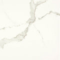 Everlast Albatros Porcelain Tile - image 1