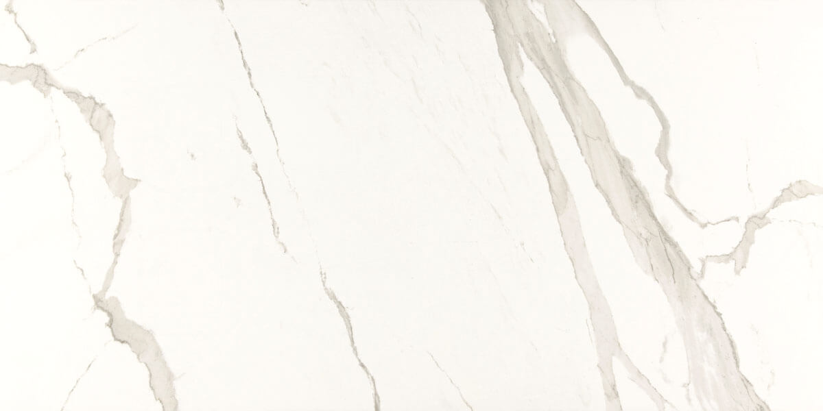 Everlast Albatros Porcelain Tile - image 3