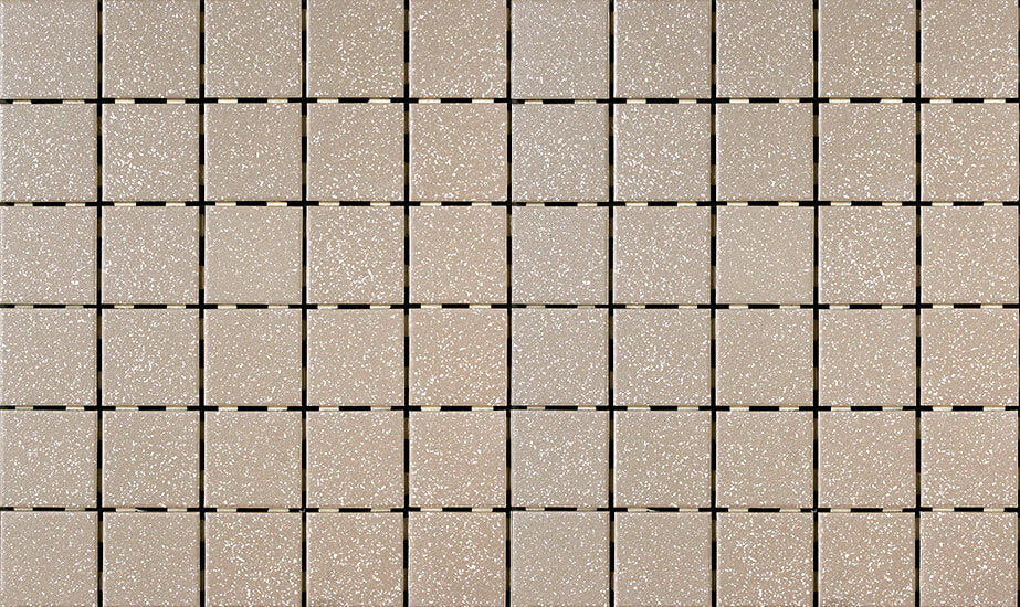 Quebec Driftwood 2"x2" Matte Porcelain Mosaic - image 1
