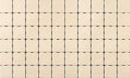 Quebec Beige 2"x2" Matte Porcelain Mosaic - image 1
