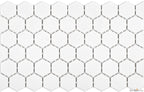 Ontario 2" Hexagon Snow White - image 2