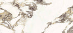 Splendid Eternal Beauty 10"x22" Glossy Wall Tile - image 1