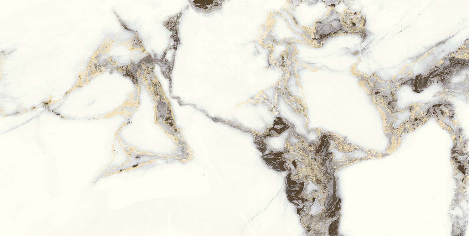 Splendid Eternal Beauty 12"x24" Matte Porcelain Tile - image 1