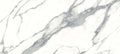 Splendid Oceanic 10"x22" Glossy Wall Tile - image 1