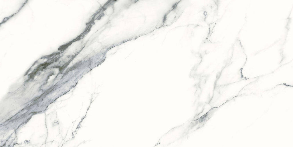 Splendid Oceanic 12"x24" Matte Porcelain Tile - image 1
