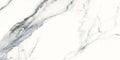 Splendid Oceanic 12"x24" Matte Porcelain Tile - image 1