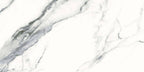 Splendid Oceanic 12"x24" Matte Porcelain Tile - image 1