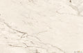 The Room Cremo Delicato 24"x48" Polished Porcelain Tile - image 1