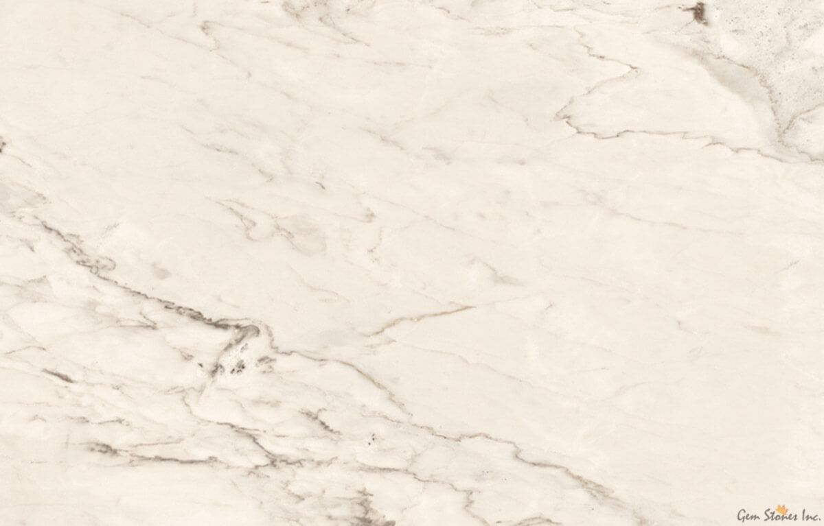 The Room Cremo Delicato 24"x48" Polished Porcelain Tile - image 1