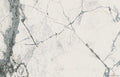 The Room Invisible White 24"x48" Polished Porcelain Tile - image 1