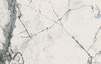 The Room Invisible White 24"x48" Polished Porcelain Tile - image 1