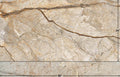 The Room San Pedro 24"x48" Polished Porcelain Tile - image 1