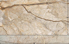 The Room San Pedro 24"x48" Polished Porcelain Tile - image 1