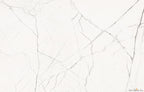 The Room Statuario Veina Picolo 24"x48" Polished Porcelain Tile - image 1