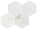 Valentino Bianco 6" Hexagon Honed Marble Mosaic - image 1