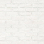 BrickStaks Alpine White Reclaimed Clay Brick