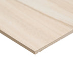 Aspenwood Arctic 9"x48" Matte Porcelain Tile - image 3