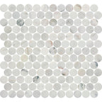 Avorio Saigon 1" Penny Round Honed Marble Mosaic - image 1