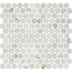 Avorio Saigon 1" Penny Round Honed Marble Mosaic - image 4