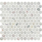 Avorio Saigon 1" Penny Round Honed Marble Mosaic - image 5
