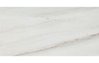 Avorio Saigon 12" x 24" Honed Marble Tile - image 1