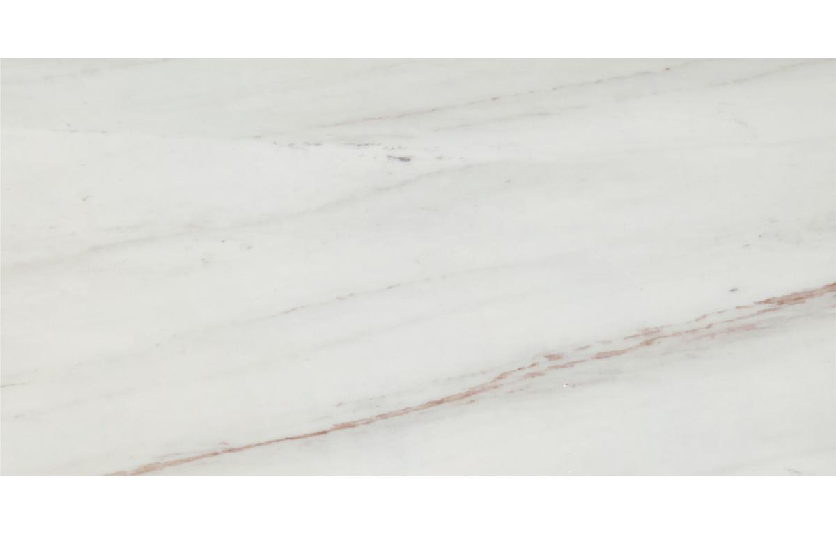 Avorio Saigon 12" x 24" Honed Marble Tile - image 1