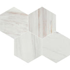Avorio Saigon 6" Hexagon Honed Marble Mosaic - image 4