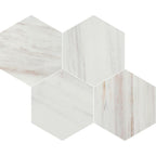Avorio Saigon 6" Hexagon Honed Marble Mosaic - image 5