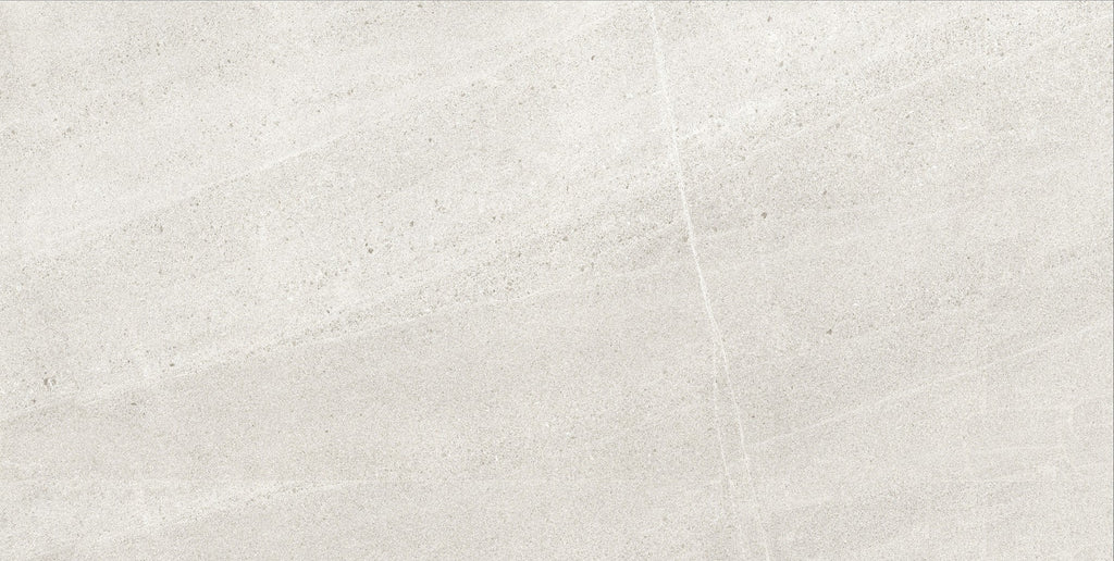 BL Light Grey Matte Porcelain Tile
