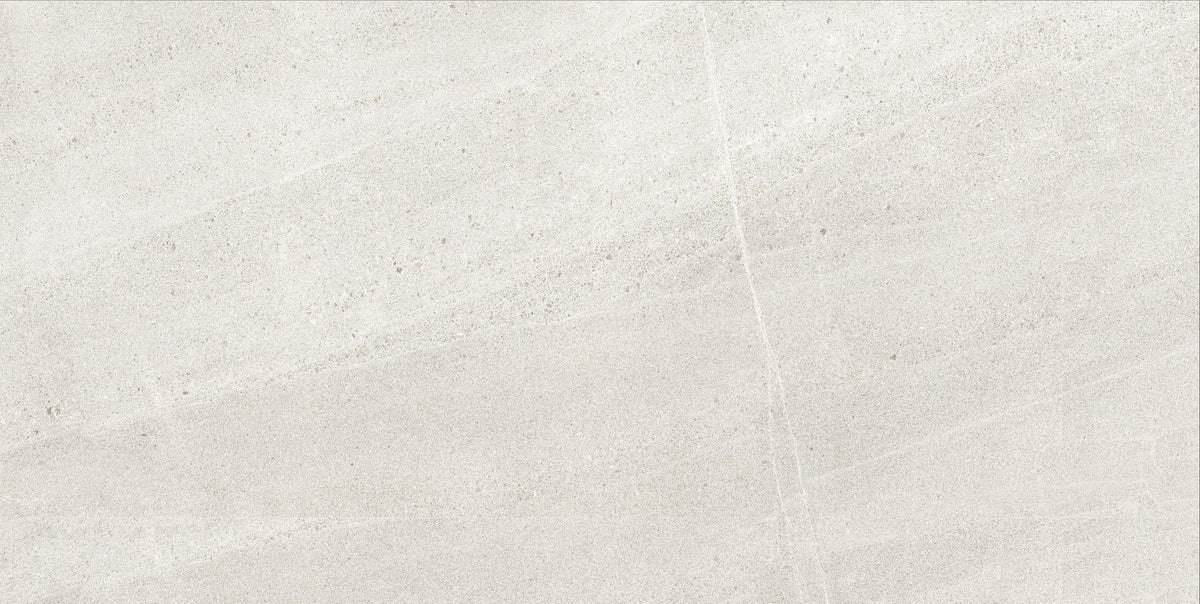BL Light Grey Matte Porcelain Tile
