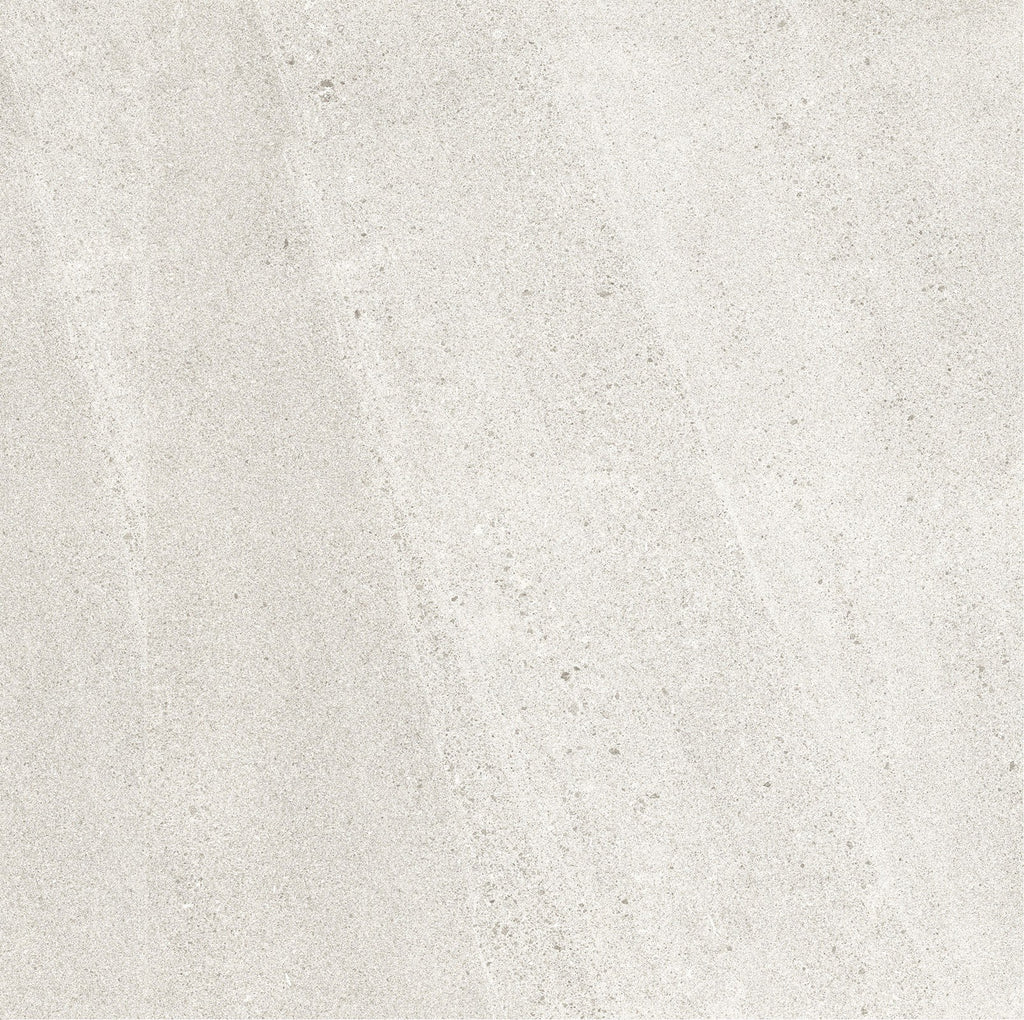 BL Light Grey Matte Porcelain Tile