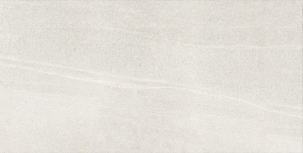 BL Light Grey Matte Porcelain Tile