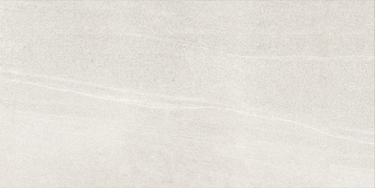 BL Light Grey Matte Porcelain Tile