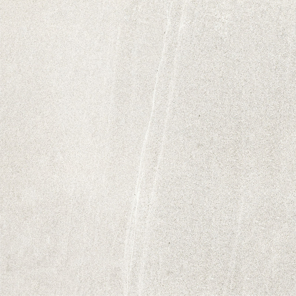 BL Light Grey Matte Porcelain Tile