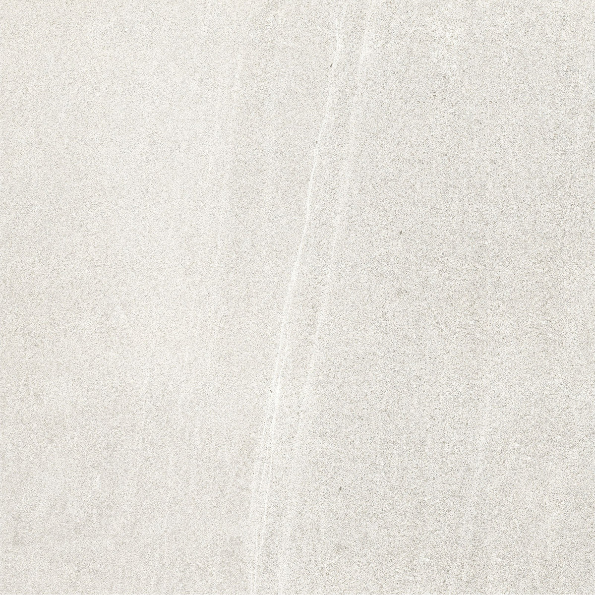 BL Light Grey Matte Porcelain Tile