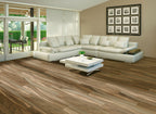 Aspenwood Café 9"x48" Matte Porcelain Tile - image 7