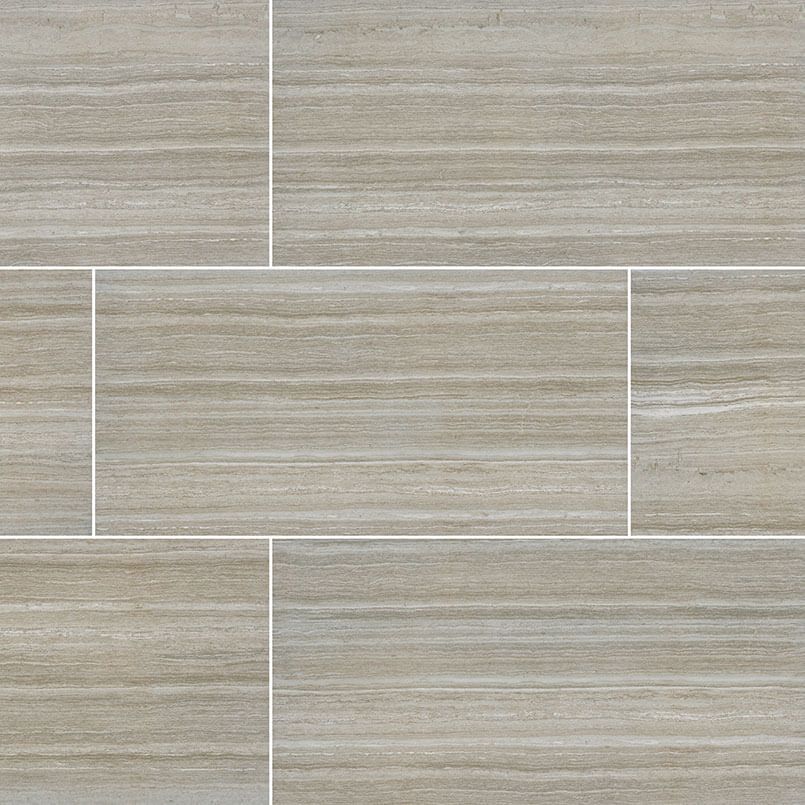 Essentials Charisma Silver 12"x24" Matte Porcelain Tile - image 1
