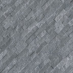 Cosmic Black Ledger Panel - image 2