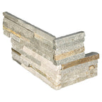 Golden Honey Pencil Ledger Panel