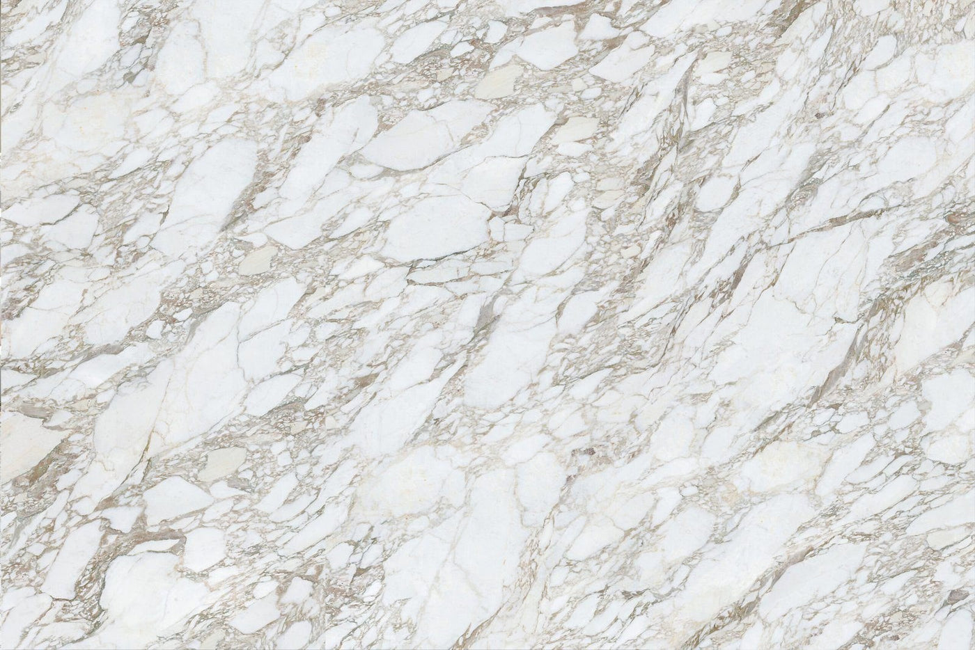 Arabescato Lucent Porcelain slab